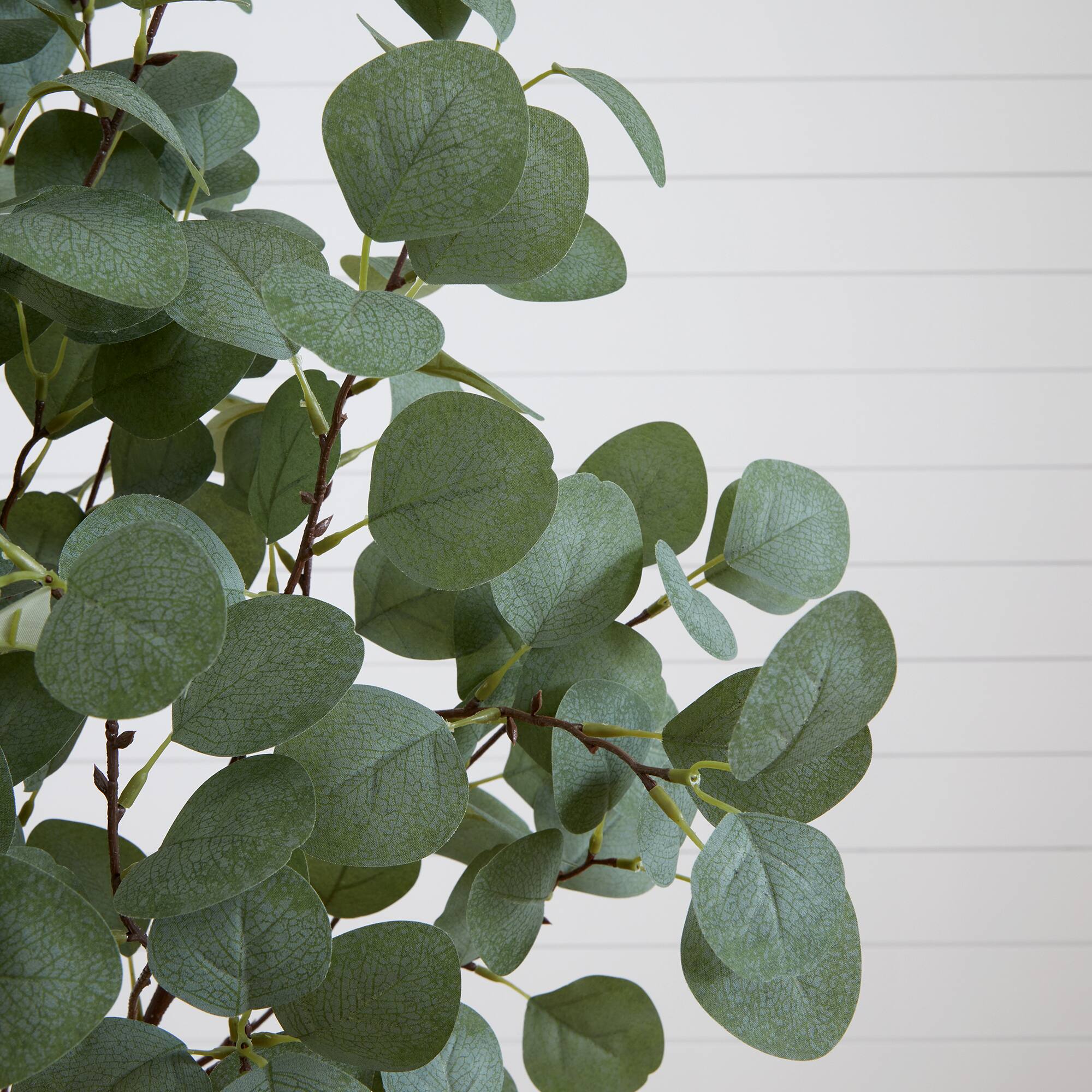 5ft. Potted Artificial Eucalyptus Tree